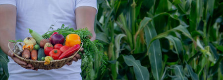 the farmer holds a basket of vegetables in his hands. selective focus. natureの写真素材