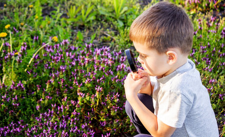 the boy looks at the flower through a magnifying glass. selective focusの写真素材