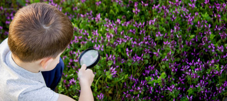 the boy looks at the flower through a magnifying glass. selective focusの写真素材