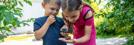 The child looks at the snail nature. selective focus. Animal.の写真素材