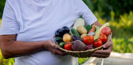 a woman farmer holds a basket with vegetables in her hands. Selective focus. Natureの写真素材