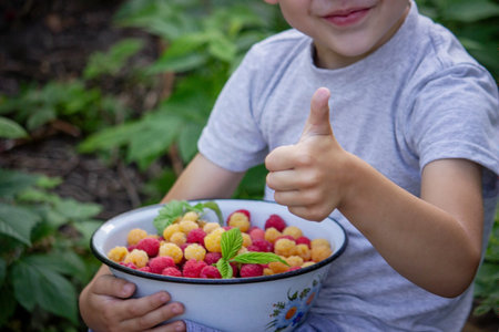 boy holding a bowl of freshly picked raspberries. Selective focus. nature