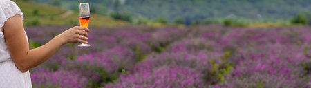 girl drinks champagne in a lavender field. Selective focus. natureの写真素材