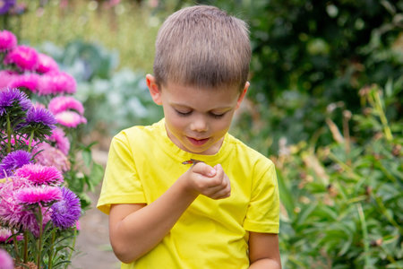 boy holding a butterfly on his hand selective focus. Natureの写真素材