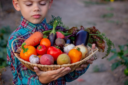 A child holds a harvest of vegetables in his hands. Selective focus. nature.の写真素材