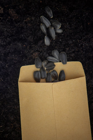 Seeds in bags on the ground. preparation for spring planting. natureの写真素材