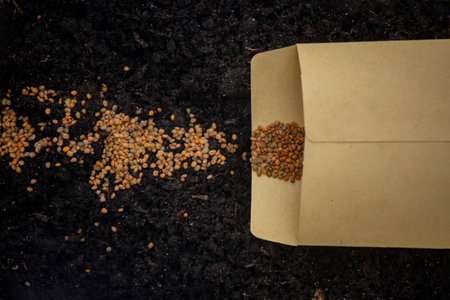 Seeds in bags on the ground. preparation for spring planting. natureの写真素材