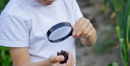The child examines the ground with a magnifying glass. Selective focus. Nature.の写真素材