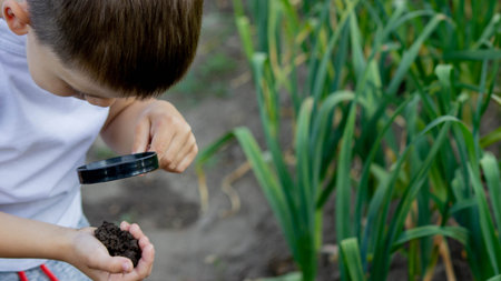 The child examines the ground with a magnifying glass. Selective focus. Nature.の写真素材