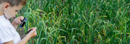 The child examines the ground with a magnifying glass. Selective focus. Nature.の写真素材