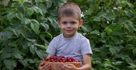 The child picked cherries in the garden. Selective focus.