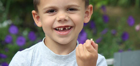 The child lost a tooth. Selective focus. Kid.Concept baby tooth