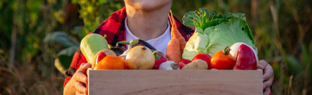 A child keeps vegetables in a wooden box in the garden. Selective focus. babyの写真素材