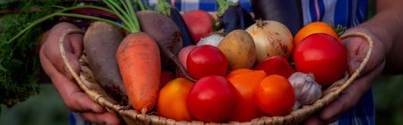 male farmer holding a basket with vegetables on the background of nature.の写真素材