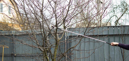 Spraying trees from pests with chemical or ecological means. Spraying detail.Selective focus.