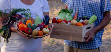 Portrait of two cheerful farmers stand together with boxes full of freshly picked vegetables at local farmland. Concept of organic food and sustainable lifestyleの写真素材