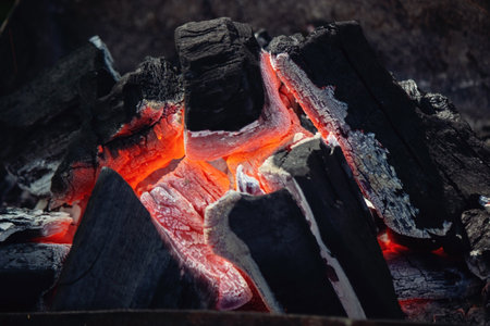firewood is burning in the barbecue.natureの写真素材