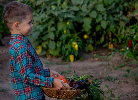 boy in the garden holding a bowl of freshly picked vegetables. selective focus.の写真素材