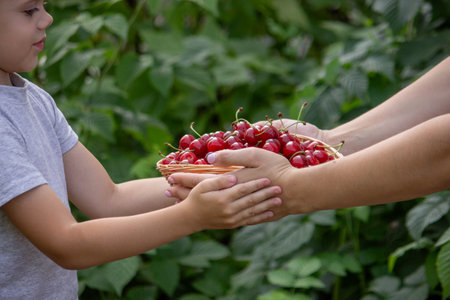 a little boy eats a cherry on the background of the garden. Selective focus.の写真素材