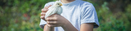 happy little boy holding a chicken in his hands on the background of nature.