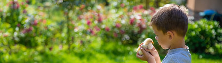 happy little boy holding a chicken in his hands on the background of nature.