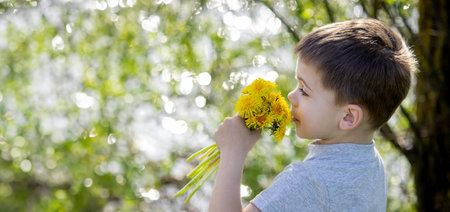 Funny baby sniffs a dandelion. Spring in nature. Allergy to flowering. pollinosis Allergy to pollenの写真素材