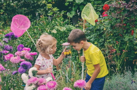 two happy children catch and admire butterfliesの写真素材