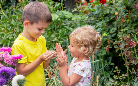 two happy children catch and admire butterflies.の写真素材