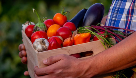 male farmer holding a box with vegetables. Selective focus.