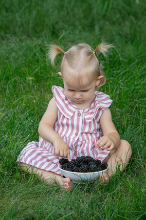 little girl eats blackberry on the background of nature. Selective focus.の写真素材