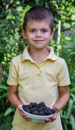 a boy picks and eats blackberries. Selective focus.の写真素材