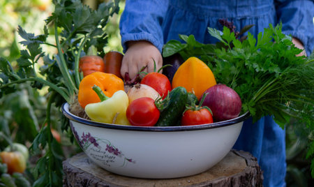 little girl freshly picked vegetables in a bowl. Selective focus.の写真素材