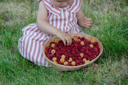 a little girl eats a raspberry. Selective focus.