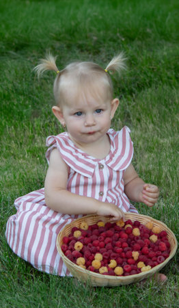 a little girl eats a raspberry. Selective focus.