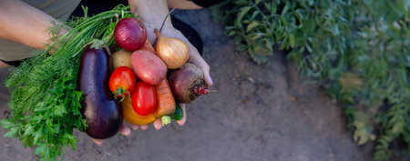 female farmer holding fresh vegetables in her hands on the background of the garden. Selective focus.の写真素材