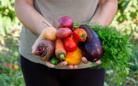 female farmer holding fresh vegetables in her hands on the background of the garden. Selective...