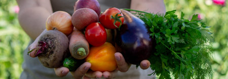 female farmer holding fresh vegetables in her hands on the background of the garden. Selective...