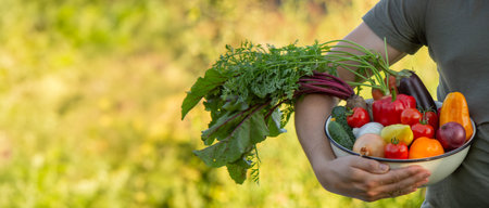a man holds freshly picked vegetables in a bowl. Selective focus.の写真素材