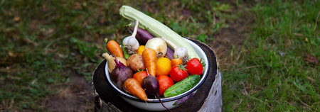 the boy holds a bowl of vegetables, harvest from the garden. harvestの写真素材