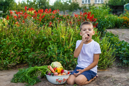 boy with fresh vegetables on the background of the garden. Selective focus.の写真素材