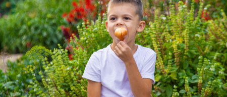 boy with fresh vegetables on the background of the garden. Selective focus.