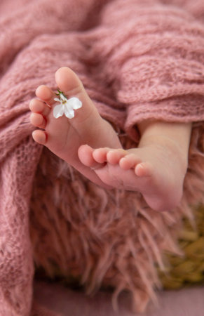 newborn baby sleeping on a pink backgroundの写真素材