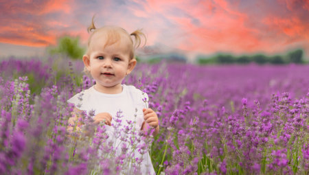 little beautiful girl in a white dress in a lavender field or garden, enjoying the aroma of lavender.の写真素材