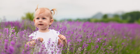 little beautiful girl in a white dress in a lavender field or garden, enjoying the aroma of lavender.の写真素材