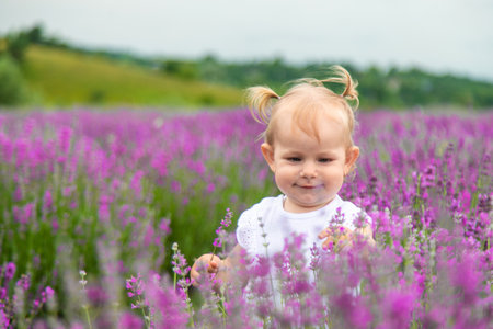 little beautiful girl in a white dress in a lavender field or garden, enjoying the aroma of lavender.の写真素材