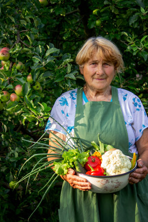 aged woman holding a bowl of vegetables in the garden.の写真素材