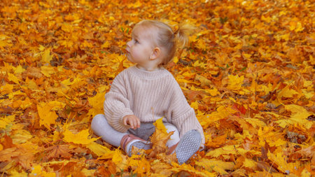 little girl in a beautiful autumn park. Golden autumnの写真素材
