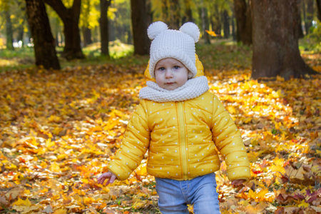 little girl in a beautiful autumn park. Golden autumnの写真素材