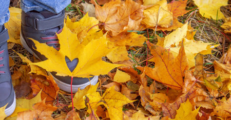 on shoes autumn leaves with heart. beautiful season autumn.の写真素材