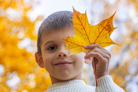 smiling boy in autumn park.autumnの写真素材